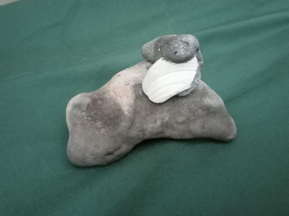 Foto de dos piedras